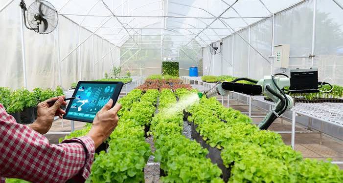 digital-farming-701x375