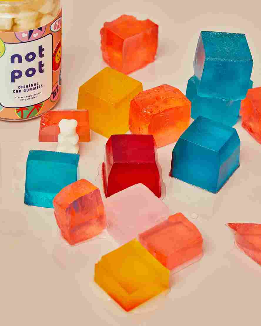 not-pot--usGhtItKJQ-unsplash_11zon